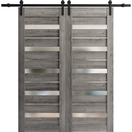 Sartodoors Sturdy Barn Door 24 x 84in, Matte Black Clear Glass, Stainless Steel 6.6FT Rail Hangers Heavy Set LUCIA2166BD-S-BLK-2484